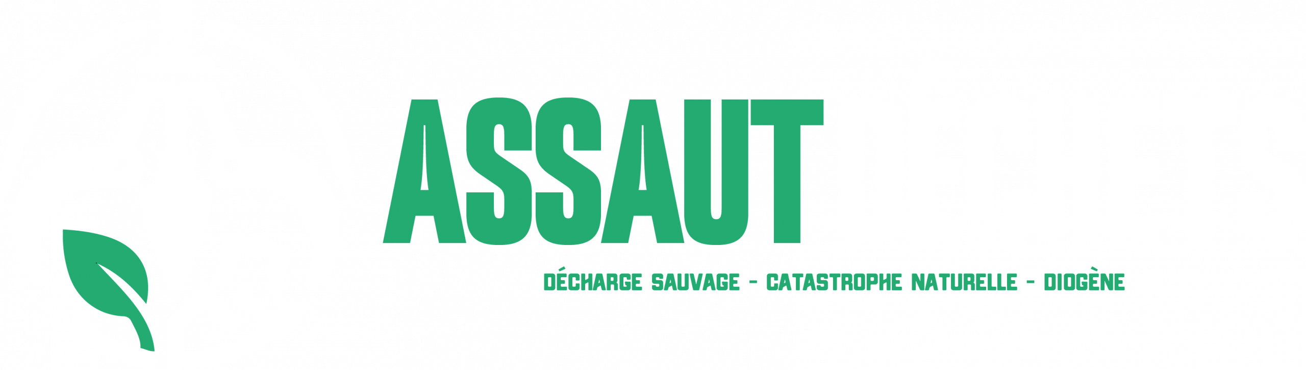 Assaut Dechets